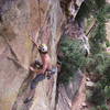 Dane finding the last rap anchors off (at top of Apple Strudel's 1st pitch?) on Yellow Spur descent