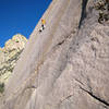 Enjoying a brief moment of relief after clipping the third of four bolts on the stellar 5.10 friction pitch on Tooth Or Consequences. 