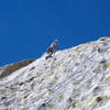 Mike Schneiter in an endless sea of knobs on Magic Dragon, high on the route.