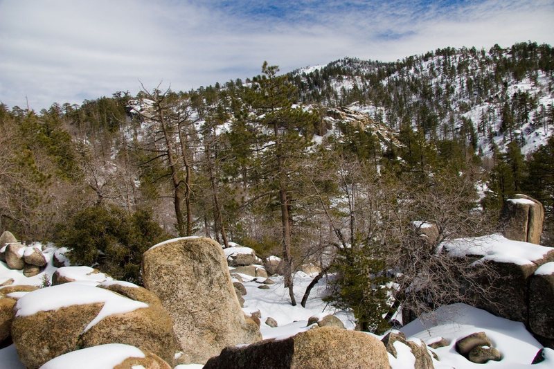 Dinosaur Rocks blanketed in snow