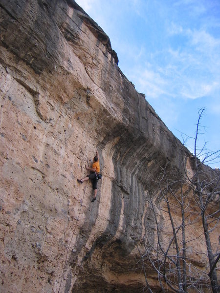 The excellent unknown route on the far right end of the Mad Cow Wall.  Reaching for the 1/2" edge below the crux bulge.