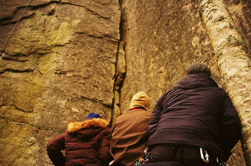 crag rats