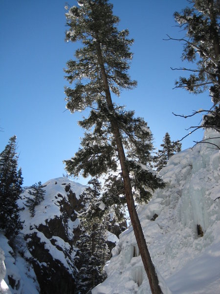 View from bottom of the gorge.