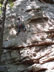 On the bottom of the face.