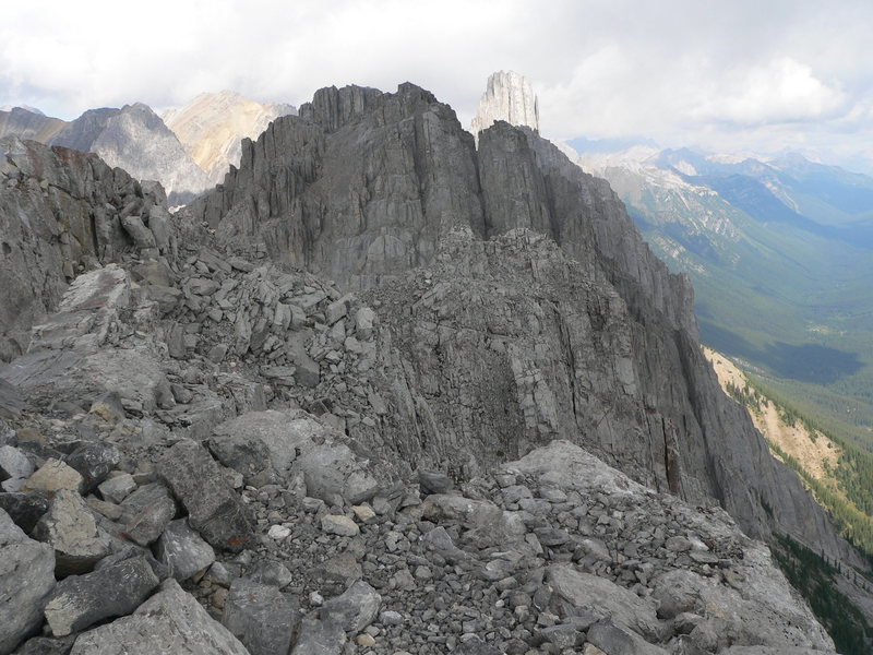 A typical view along the top ridge line.  This shot is lookin north with Mt. Lewis in the background