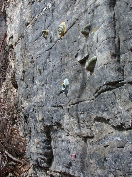 View of all the holds