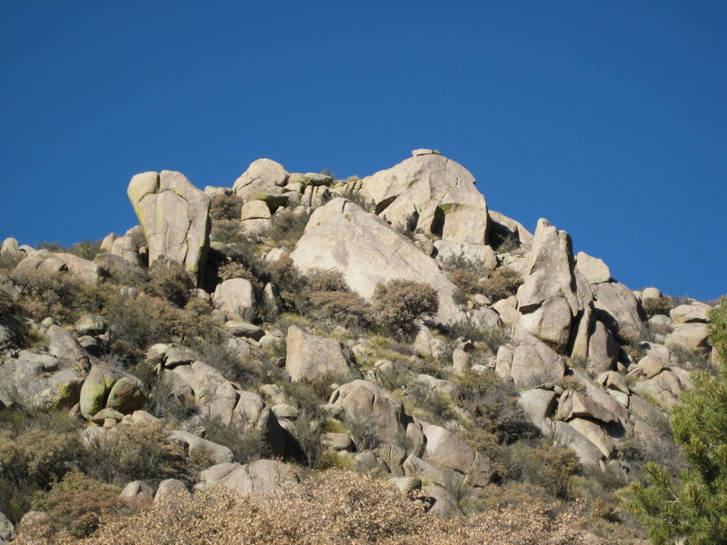 Photo of the area as you come upon it. Looking Northeast from the trail entering Domingo Baca Canyon.