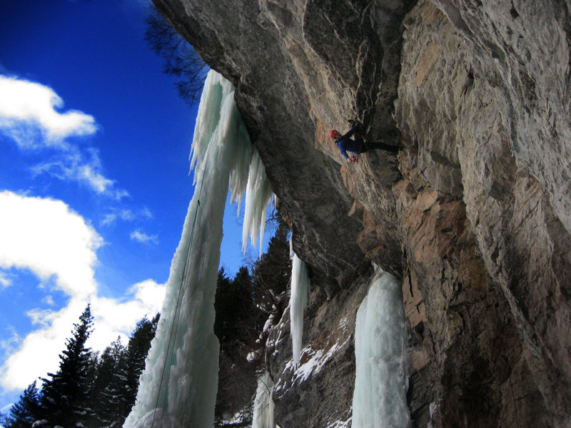 Mike on Black Mamba.<br>
<br>
Photo: Brian Aitken.