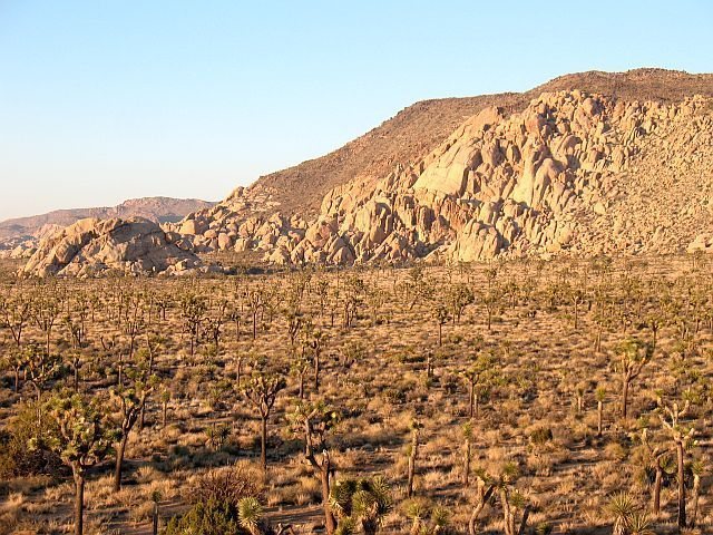 Comic Book Area, Joshua Tree NP