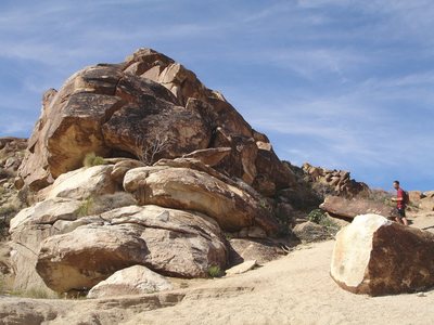 Petroglyphs greet you at the mouth of Grapevine Canyon; also known as Rattlesnake Canyon. A beautiful worthwhile hike! Looks like there is  climbing potential deep in the canyon; scary OW cracks.<br>
<br>
Taken 3/11/08