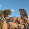 Climbers atop Headstone Rock, Joshua Tree NP