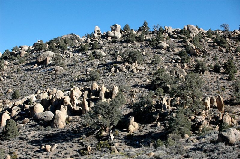 The Druid Stones, on the horizon, seen from a ways up the approach trail