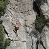 Me leading Bikini Candy (5.8)