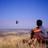 Larissa Phillips watches a vulture glide by at eye level from the summit of Devil's Tower after an amazing day of climbing.