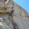 Jeff around the crux of Old Man and the Poodle, March 2008.