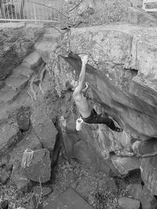 P latching the top of Lunge or Plunge