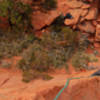 Scott pimping the 5.9+ arete on pitch one.