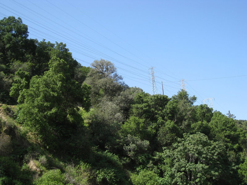 Ahh, the beauty of the Angeles National Forest.