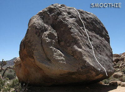 "Smoothie".<br>
Photo by Blitzo.