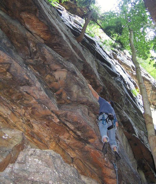 Bobby D's Bunny (5.6)<br>
Jeff at the 3rd bolt (first bolt not clipped).