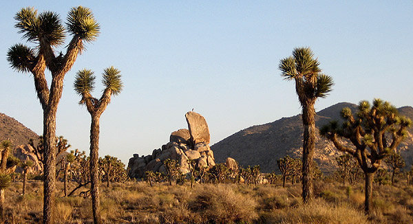 Headstone Rock.<br>
Photo by Blitzo.