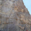 Raptor nest on ledge at Reef Rock