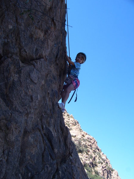 Julia (9 yrs old) braving the heights of "Camper's Delight"