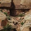 Ram in Escalante Spring 08. There was a party of climbers 75 yards left of photo. 