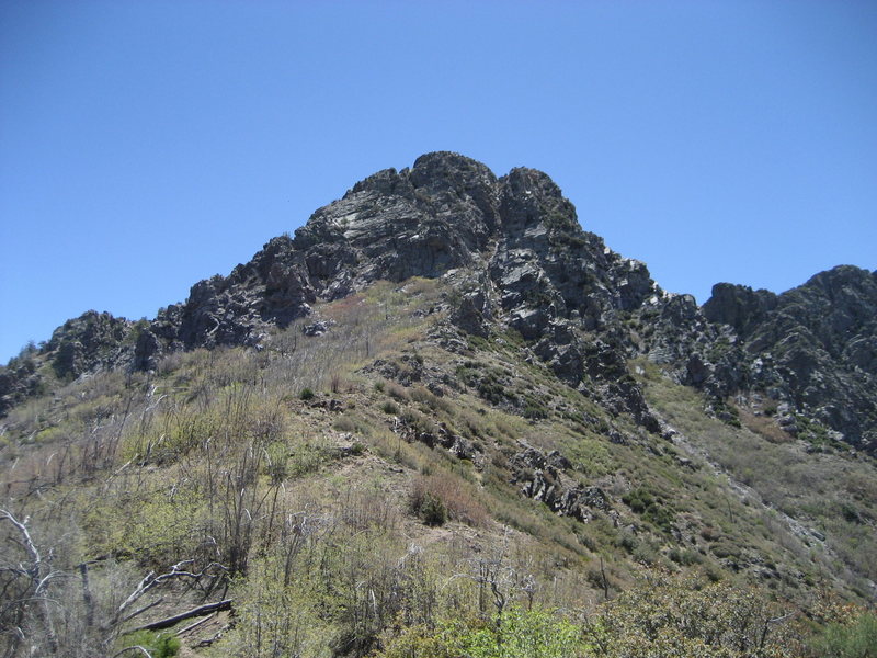 Brown's peak from the saddle