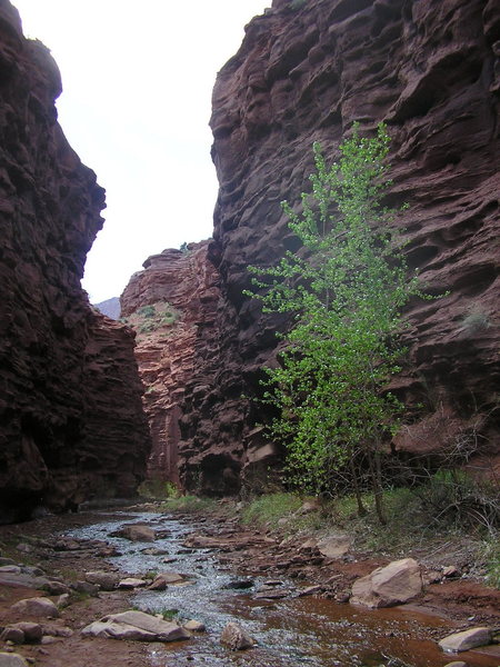 Slot canyon