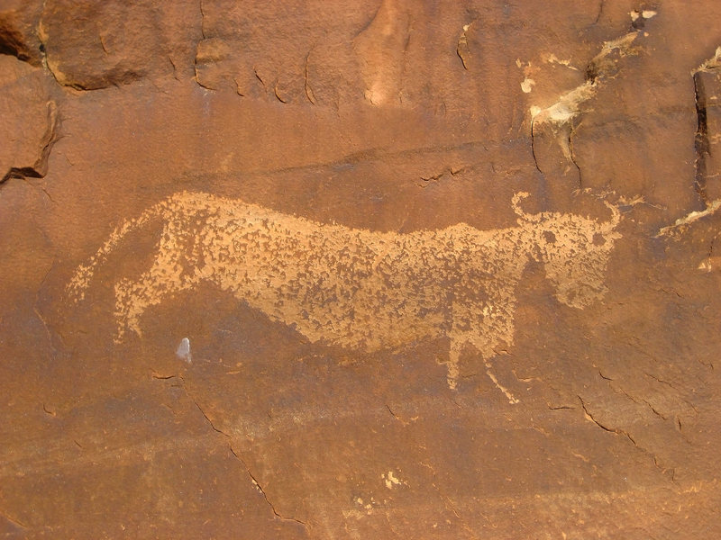 Buffalo Petroglyph