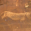 Buffalo Petroglyph