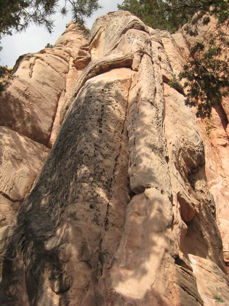 Bee alert!  Since I never saw any guide to this area, I have no idea what the name of this route is.  However, I am adding this picture because we had to bail off this route quickly due to the arrival of several scout bees.  <br>
<br>
We then noticed a hive 30-40 feet to the left in a tree trunk; amazingly, these bees are so quiet we never heard them.  (I find this unusual for Africanized bees in Arizona.)  Take caution accordingly in the area.