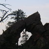 Turkey vulture spotting prey from summit of Royal Arch.  Photo from 4th Flatiron.