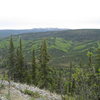 From the top of the ridge and looking to the South-East at elev. 1290. Globe Creek drainage can be seen clearly with the Wickersham Dome in the background. 