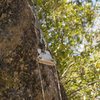 Top Rope Sheer Reduction Block.  These have mostly been replaced with outdoor all-weather rated auto-belays.  There are a few ones outside of the main climbing area.  Use p-cord to pull your rope thru.  Use your rope to re-string the p-cord when done.