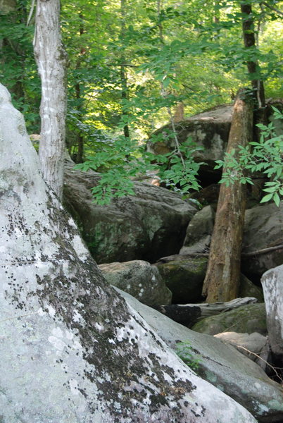 Near the entrance at the small creek.   