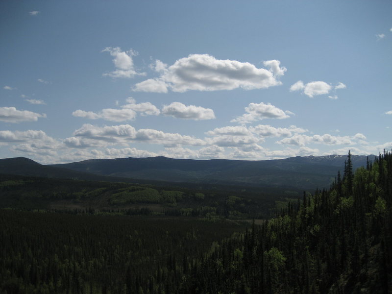 Perfect day in the Interior. Wickersham Dome to the South and Globe Creek drainage in the background.