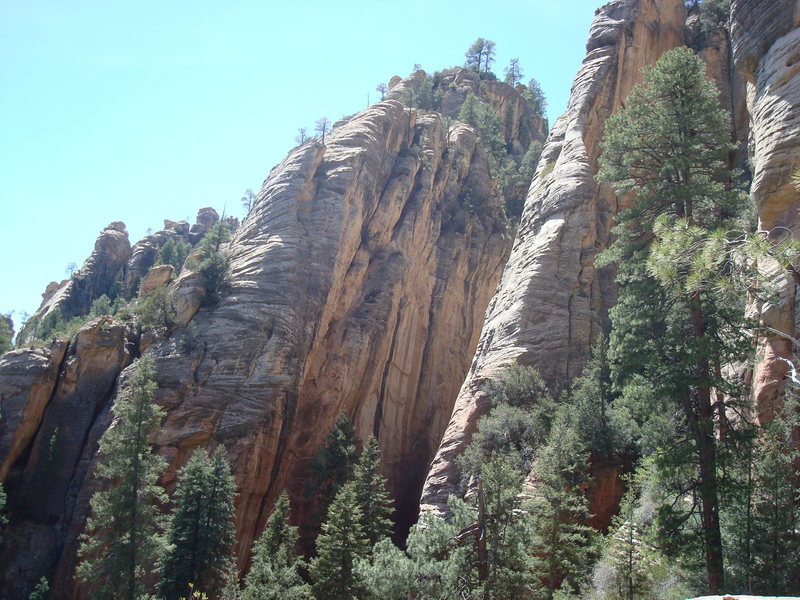 Looking across at the 250-foot South Wall of the Doctor's Office