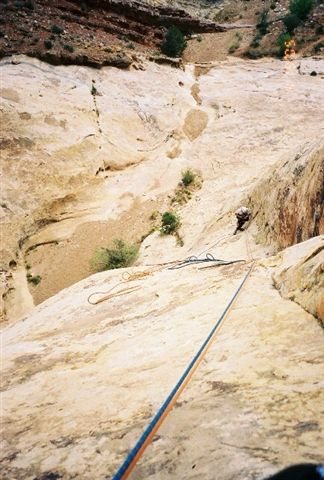 Layne following Pitch one