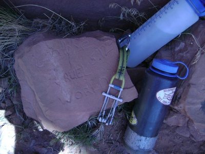 Goodbye Cruel World. Hello pumped forearms.