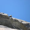 Josh over the roof on Hoodwink.