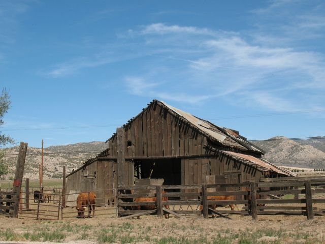Old barn near Aguanga, Riverside County 