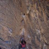 The wild overhanging dihedral of the second pitch of Scary Canary.  Crux ends at the jug on upper right.