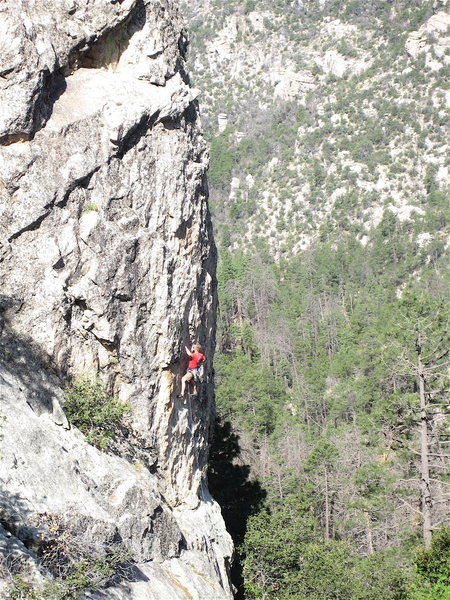 It's 111 degrees in Tucson, but Vince Bates is Bobbin' for Hobbits at a cool 7000 feet at Middle Earth.  