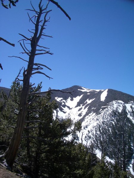 Mt Humphrey's from far below.