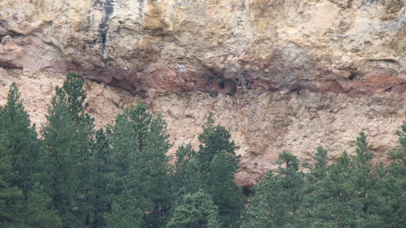 Black Hills Limestone.