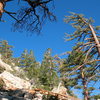 Blue skies, green trees and lots of boulders, Tramway