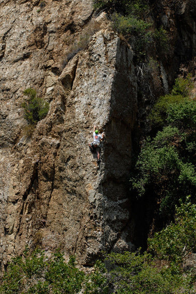 Rob Chaney climbs Economique, at Wheeler Gorge.