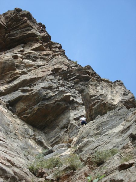 Gus, Catslab, Clear Creek Canyon, Colorado.